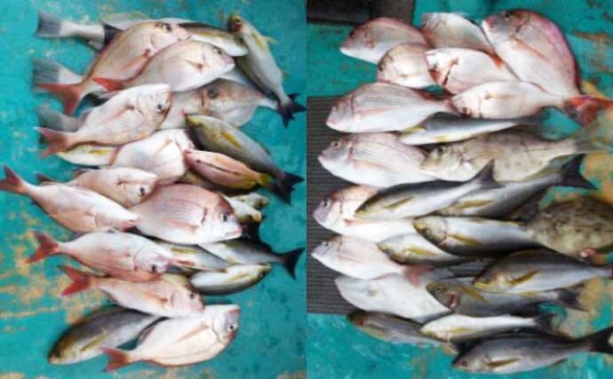 関西エリアの【船釣り特選釣果】ジギングで良型ブリ連発＆ナイトティップランではアオリ快釣