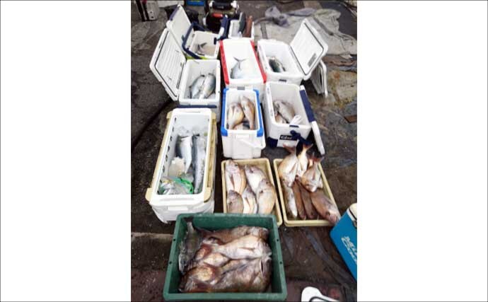 関西エリアの【船釣り特選釣果】ジギングで良型ブリ連発＆ナイトティップランではアオリ快釣