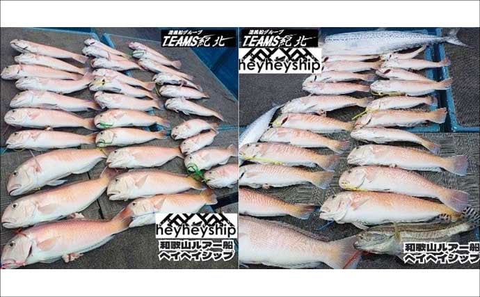 関西エリアの【船釣り特選釣果】ジギングで良型ブリ連発＆ナイトティップランではアオリ快釣