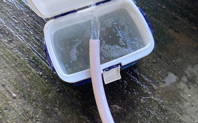 「急がない・触らない・明るくしない！」 持ち帰った釣魚を水槽に移す時の7つの鉄則