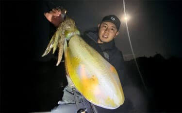 「満月の大潮はアオリイカが釣れる!」ショアのエギング釣行で1300g頭に良型が連発【山口】