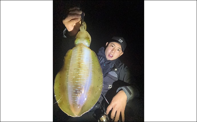 「満月の大潮はアオリイカが釣れる！」ショアのエギング釣行で1300g頭に良型が連発【山口】
