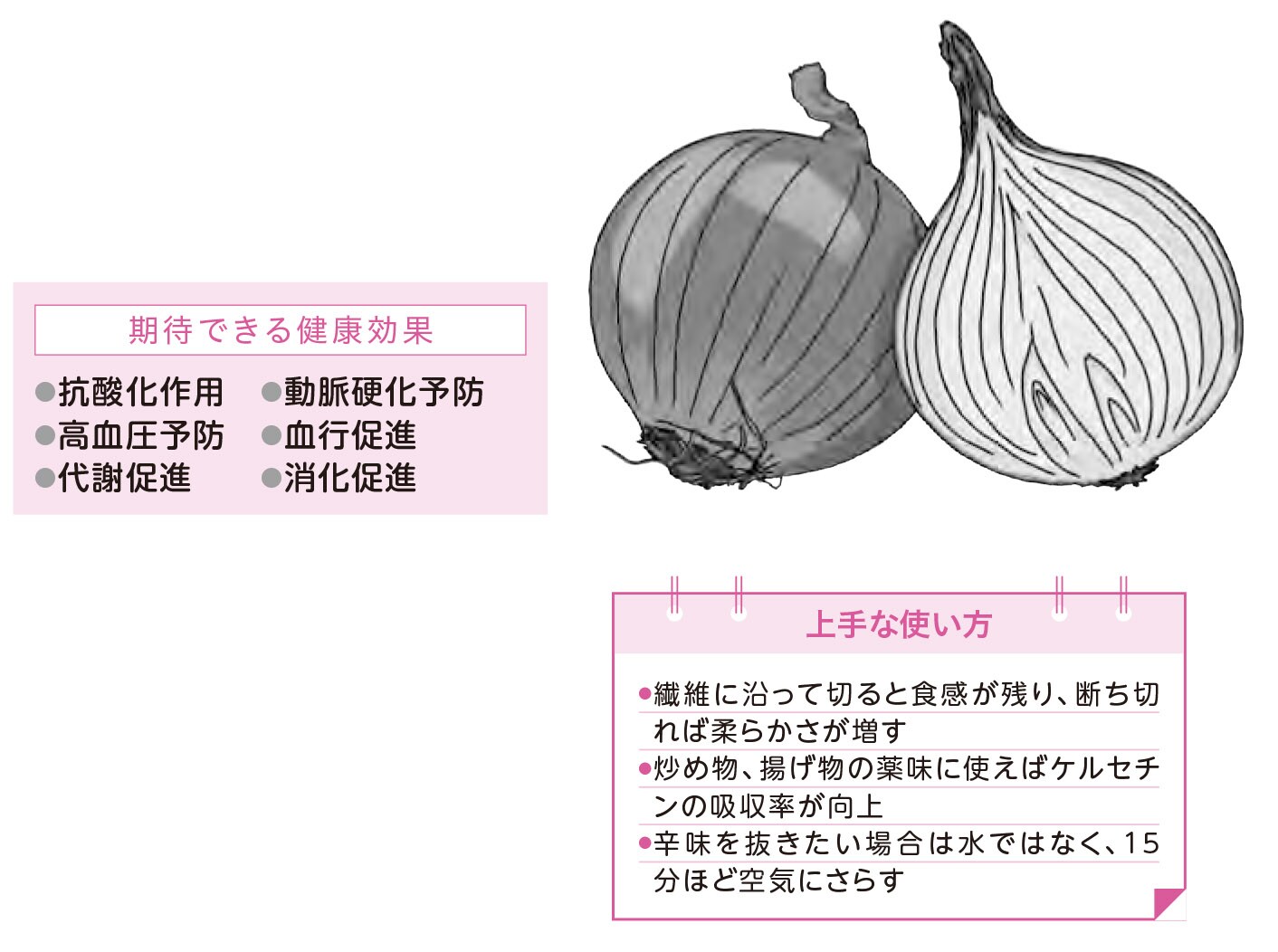 玉ねぎ：抗酸化作用の強いケルセチンが豊富【1週間で勝手に最強の免疫力がつくすごい方法】