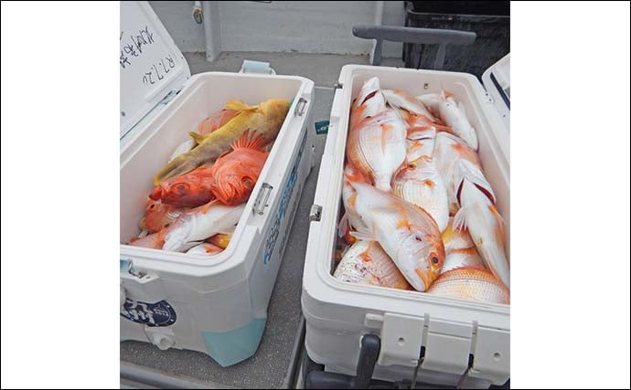玄界灘の沖五目釣りでアオナ2.5kg筆頭にレンコダイ・ボッコ続々【福岡】多魚種そろい踏みで盛況