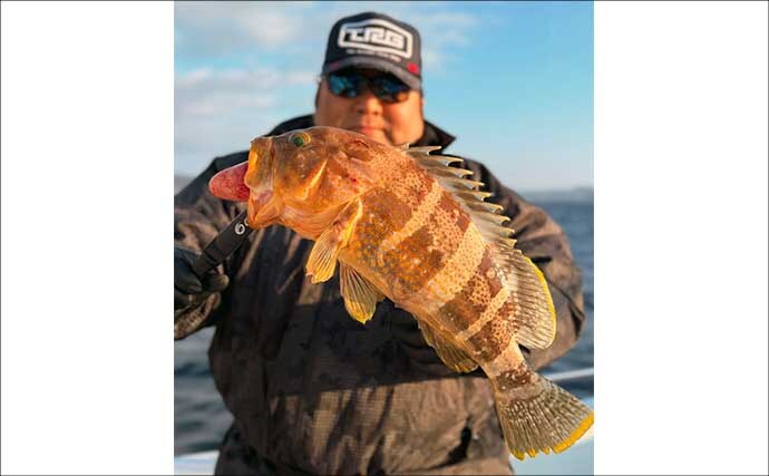 【沖のルアー釣果速報】伊勢志摩沖のティップランで良型アオリイカ連発！1kgアップも浮上（三重）