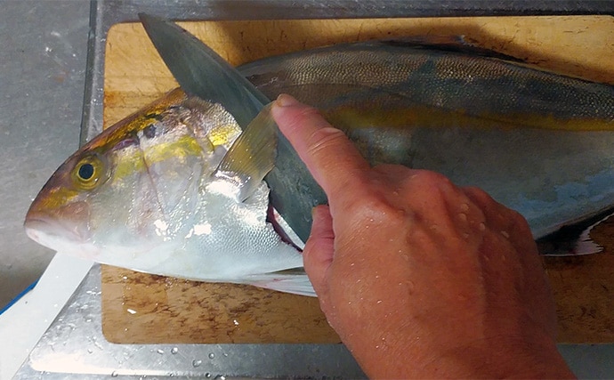 釣魚で作る「血液サラサラ」レシピ：ネリゴとタマネギの和え物　食感の相性抜群