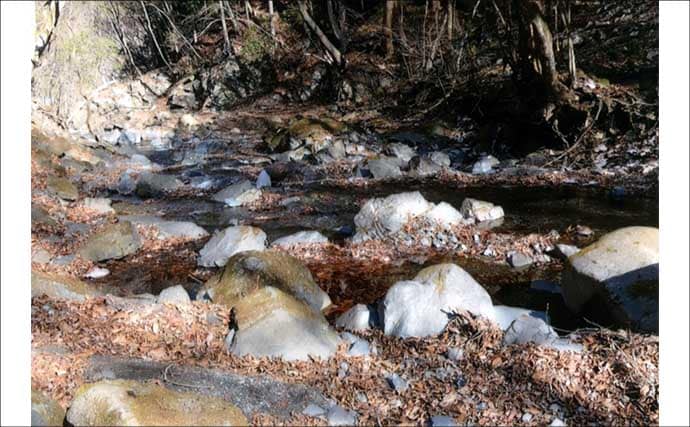 「甲斐サーモンも狙える！」 渓流釣りイチオシ河川：小菅川