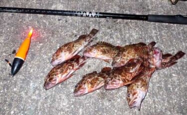 真冬の低活性カサゴは電気ウキ釣りで攻略しよう! 【タックル・釣り方を解説】