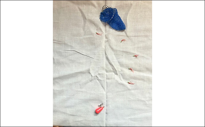 初めてでも確実に楽しめるオススメの釣り3選　【サビキ・ちょい投げ・穴釣り】