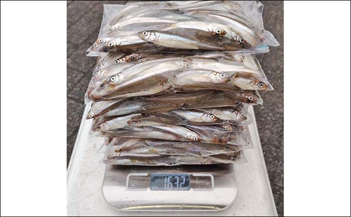 芦ノ湖のボートワカサギ釣りで667尾達成！【神奈川】最大11.5cm＆時速100尾の爆釣劇