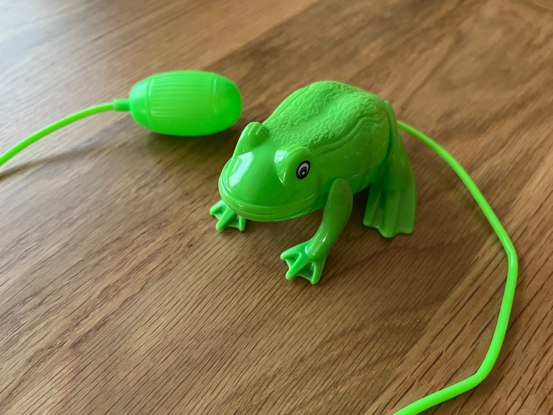 100均おもちゃを13個買ってきた!赤ちゃんから小学生まで楽しめる人気商品を紹介