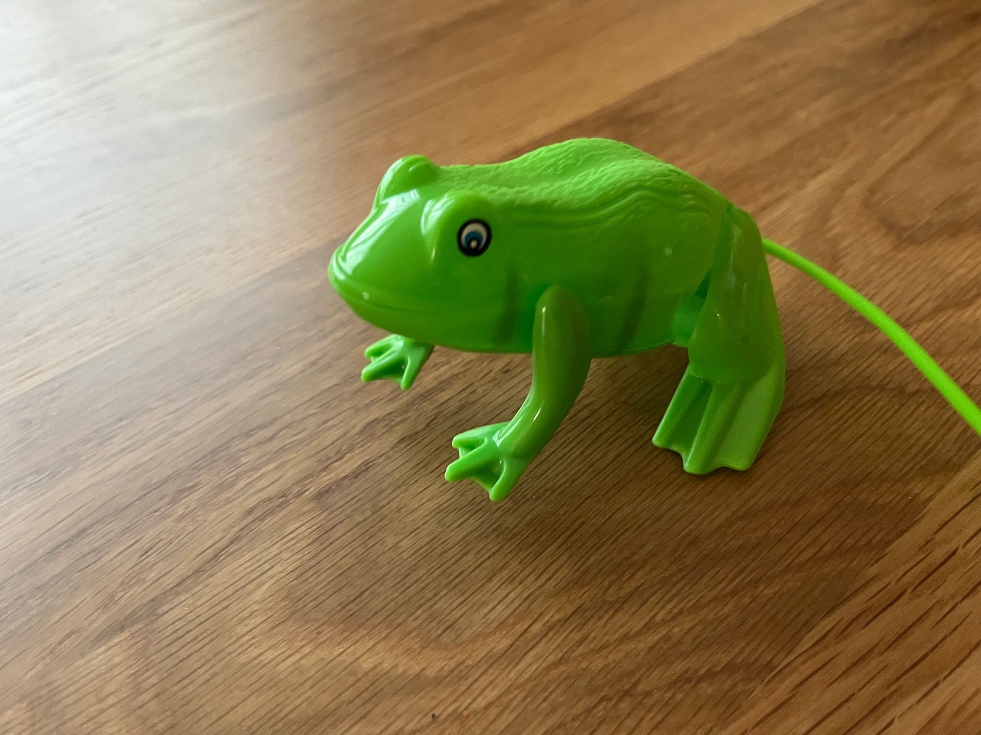 100均おもちゃを13個買ってきた!赤ちゃんから小学生まで楽しめる人気商品を紹介