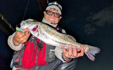 衣浦港シーバスゲームで50cm級キャッチ！ 【愛知】ルアーローテと立ち位置調整が決め手に