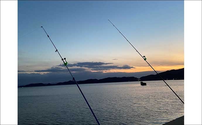 「真冬はアナゴのブッコミ釣りがオススメ！」なワケ　釣り場の選び方も解説