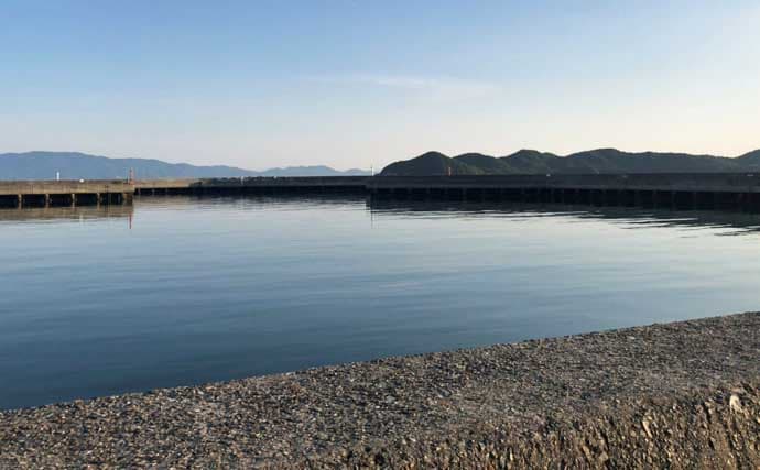 「真冬はアナゴのブッコミ釣りがオススメ！」なワケ　釣り場の選び方も解説