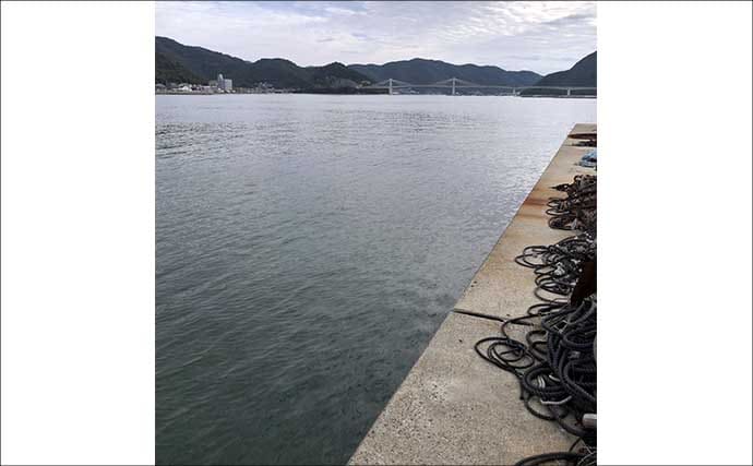 「真冬はアナゴのブッコミ釣りがオススメ！」なワケ　釣り場の選び方も解説