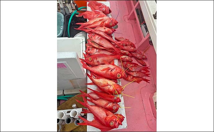 ジギングでキンメダイがフィーバー！2点掛けも連発と絶好調【静岡・光輝丸】