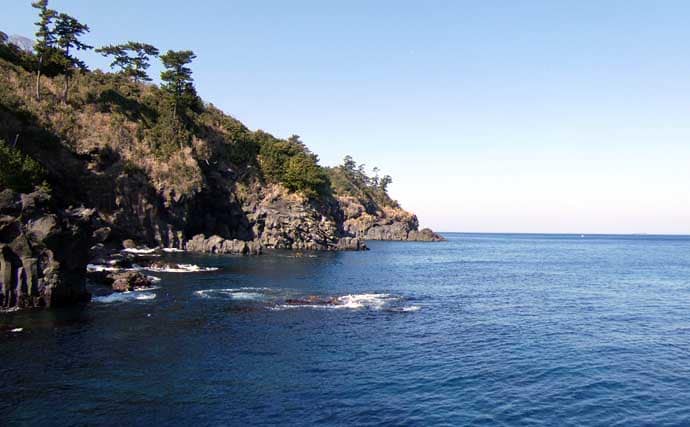 船中泊付きの離島釣り大会に参加【伊豆大島】まさかの優勝＆特別賞を同時受賞！