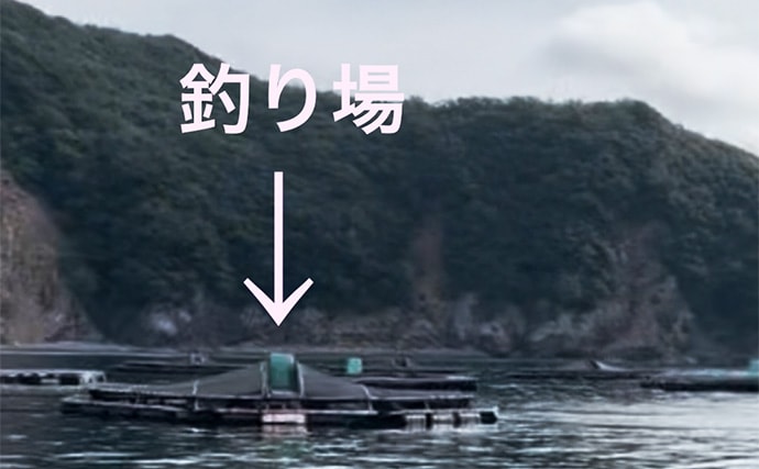 八角形の養殖筏で五目釣り【三重・南伊勢】サビキは入れ食い＆釣れすぎ注意報