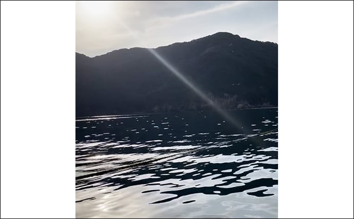 八角形の養殖筏で五目釣り【三重・南伊勢】サビキは入れ食い＆釣れすぎ注意報