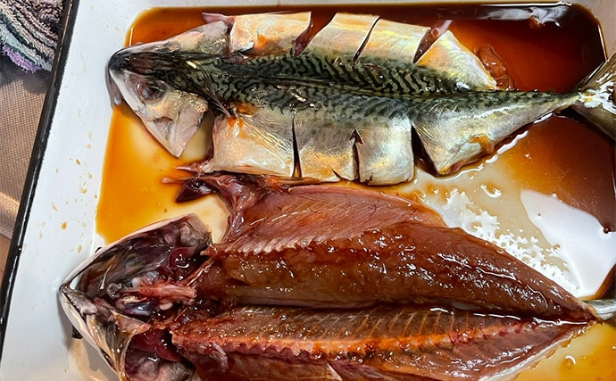 八角形の養殖筏で五目釣り【三重・南伊勢】サビキは入れ食い＆釣れすぎ注意報