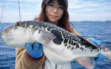 東京湾でトラフグ釣りに注目集まる! 関東エリアの【船釣り特選釣果】