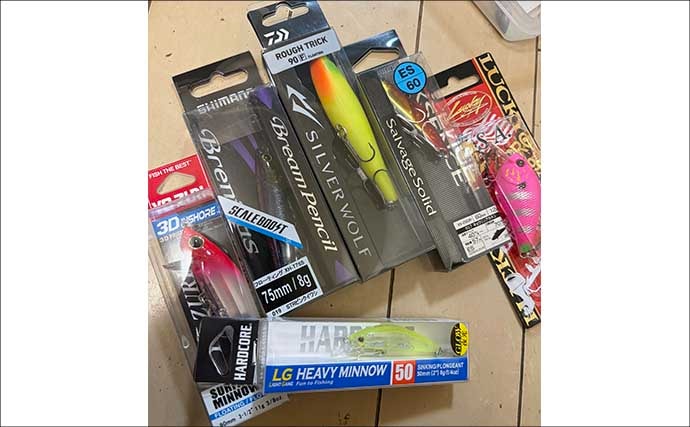 ゼロから始めるチニング 【初心者向けのタックルとルアーを解説】