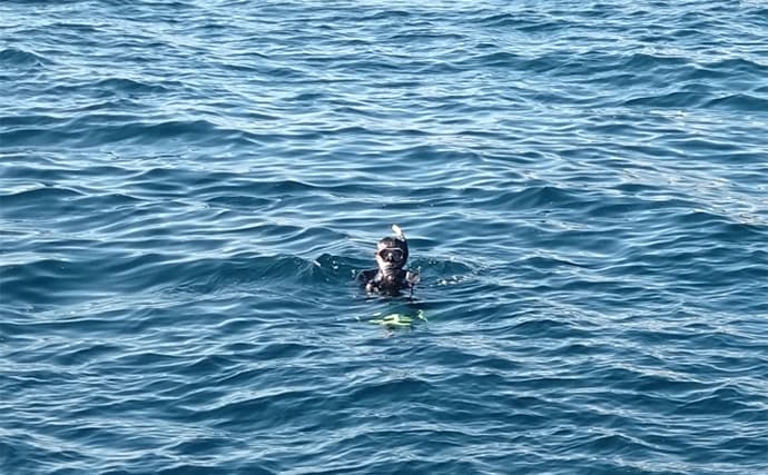 「これぞ最強タッグ！？」潜水＆釣りで魚を狙い撃ちしてみた　ムツ連打に成功