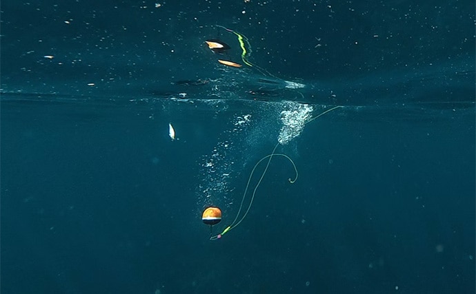 「これぞ最強タッグ！？」潜水＆釣りで魚を狙い撃ちしてみた　ムツ連打に成功