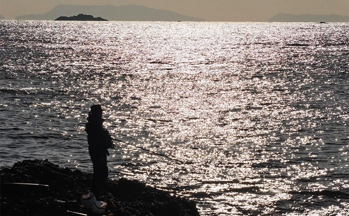 「これぞ最強タッグ！？」潜水＆釣りで魚を狙い撃ちしてみた　ムツ連打に成功