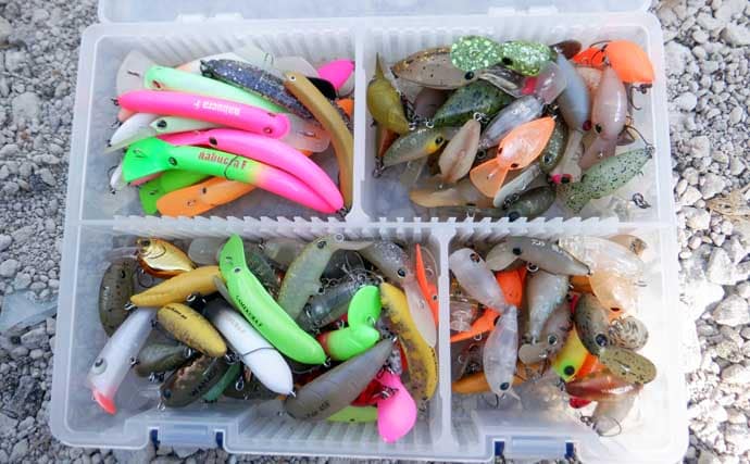 冬のエリアトラウト攻略　スプーニングの「巻き」で釣果を伸ばすコツ