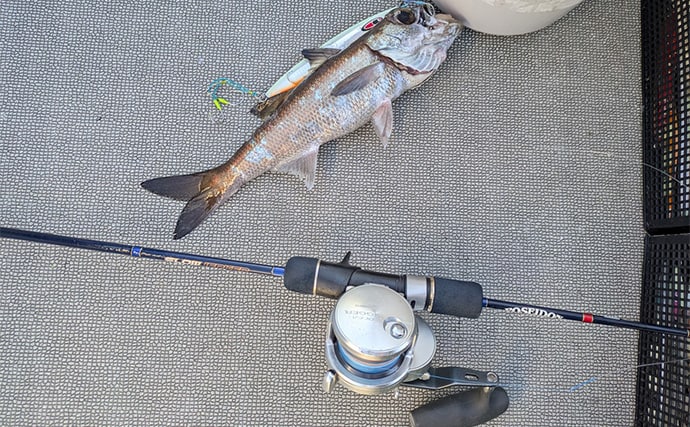 志摩沖の中深海ジギングで良型クロムツが連発！【へいみつ丸】ステイパターンが的中