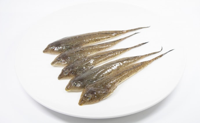 「キスより美味しい？」 天ぷらとの相性抜群のサカナたち