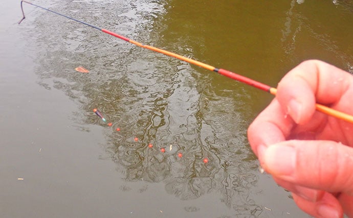「タナゴ500尾超え！」道満河岸ヘラ鮒釣場での淡水小物釣りで数釣り満喫