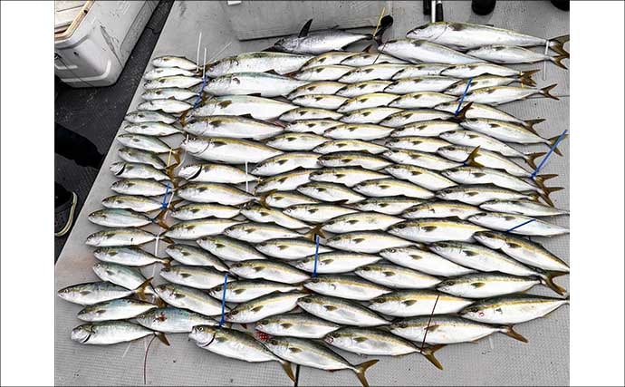 【沖釣り釣果速報】芦屋沖の落とし込み釣りで100cmの大ヒラマサ降臨！船中青物67尾の爆釣劇（福岡）