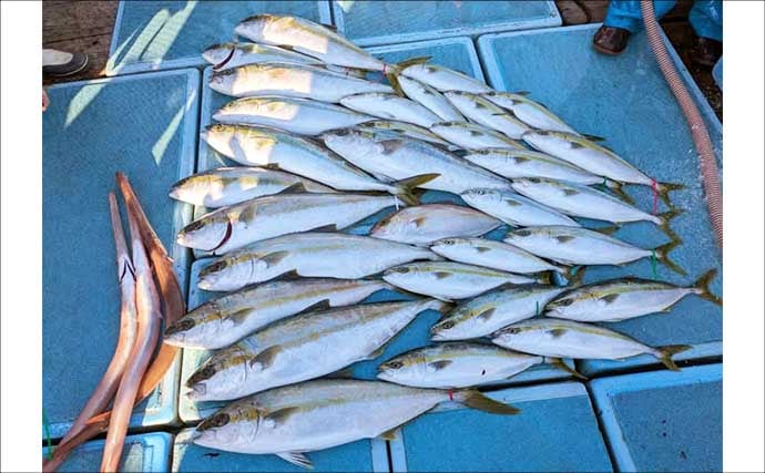 【沖釣り釣果速報】芦屋沖の落とし込み釣りで100cmの大ヒラマサ降臨！船中青物67尾の爆釣劇（福岡）