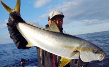 【沖釣り釣果速報】芦屋沖の落とし込み釣りで100cmの大ヒラマサ降臨!船中青物67尾の爆釣劇(福岡)