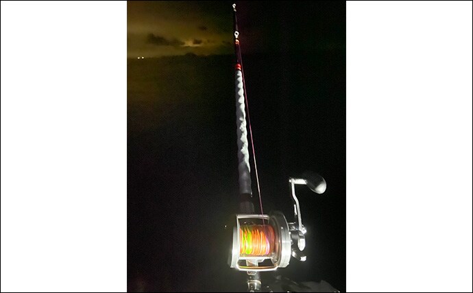 夜釣りで5.3kgアラ(クエ)をキャッチ!【山口】水深2〜3mの浅場ポイントでヒット