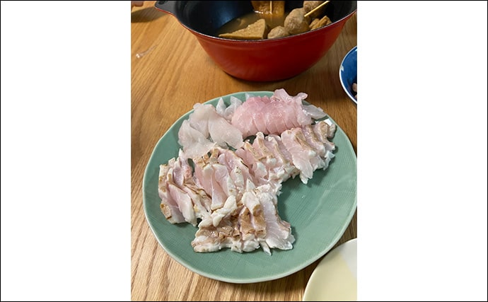 夜釣りで5.3kgアラ(クエ)をキャッチ!【山口】水深2〜3mの浅場ポイントでヒット