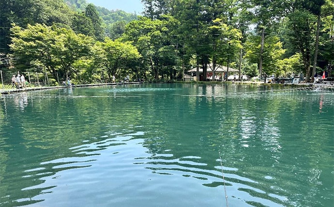 「ニジマス親子丼を堪能!」エリアトラウト釣行でニジマス42匹手中【滋賀・醒井養鱒場】