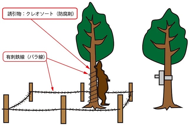 ヘア・トラップの図。好物のにおいでおびき寄せられたクマは有刺鉄線に体をこすりつけ体毛を残す。その体毛で個体識別調査をする。出典：市民団体「流域の自然を考えるネットワーク」ホームページ