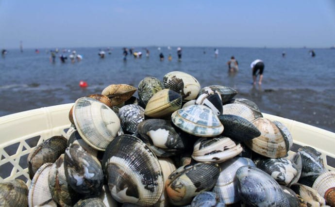 栄養士おすすめの【タウリンが豊富な魚介類】　栄養を逃さない調理のコツとは？