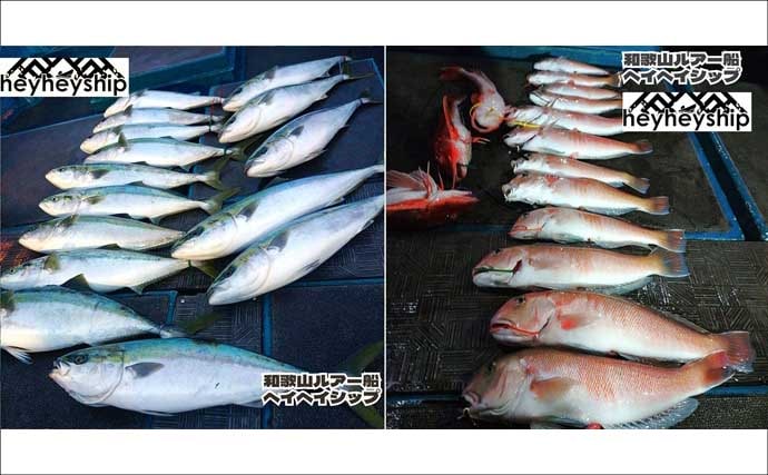 明石沖タイラバで数型どちらも狙える好シーズン到来！【船釣り特選釣果・関西】