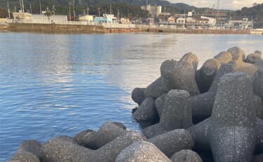 釣りの「めっちゃ痛い！」思い出　深夜に消波ブロックへ落下して奇跡の生還