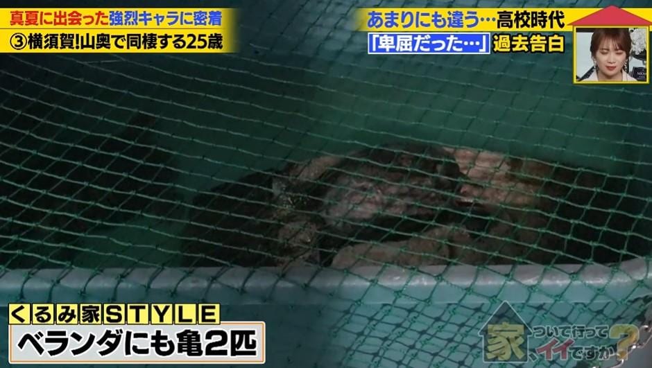 家、ついて行って