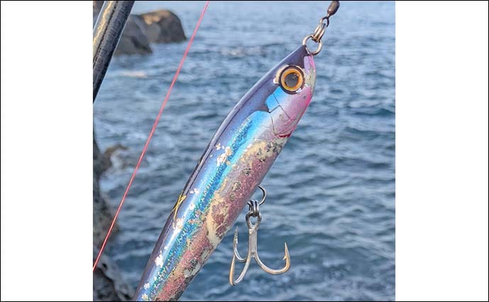 五島列島の遠征ロックショア釣行でヒラマサ5kg級手中！【長崎・小値賀島】地磯歩きでチャンスつかむ