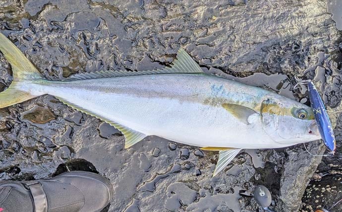 五島列島の遠征ロックショア釣行でヒラマサ5kg級手中！【長崎・小値賀島】地磯歩きでチャンスつかむ