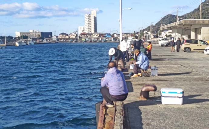 「クロダイ不発もサビキ釣りで好転！」乙浜港でウルメイワシ連続ヒット【千葉】