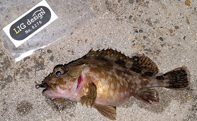 大寒波直撃の日本海でライトソルトゲーム【京都】ガシラ高活性も本命メバルは不発