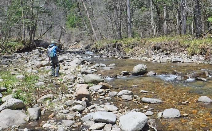 ヤマトイワナ狙える渓流釣り場ガイド　木曽川水系の支流ポイント紹介【長野】